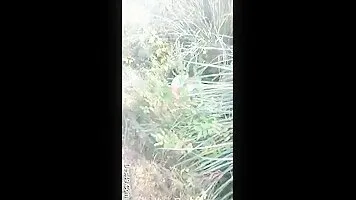 Desi Bhabhi Street Sex With Client