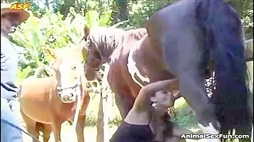 Horse zoophilia porn with a sexy Latina