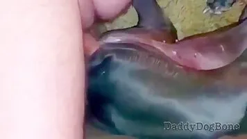 Man fucking dogs to make it cum