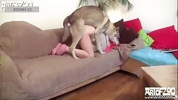 Gorgeous dog bestiality with my ART hot wife