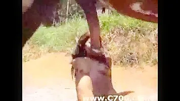 Horse cum on her boobies