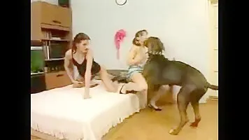 Bitches dogs and dildo