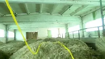 Blonde wife fucked by the horse and finger fucked by hubby